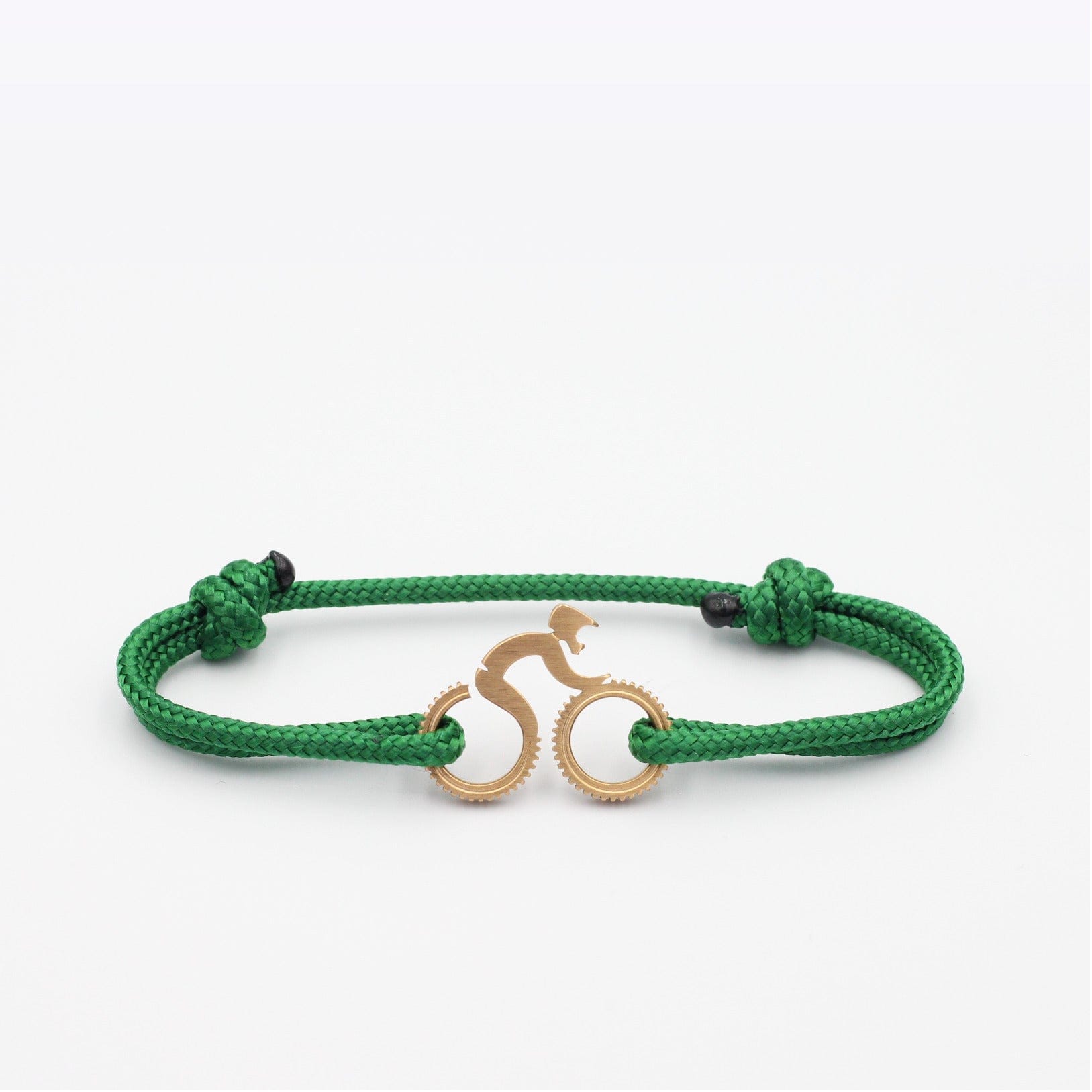 L'Aiguille Verte - VTT Or Rose