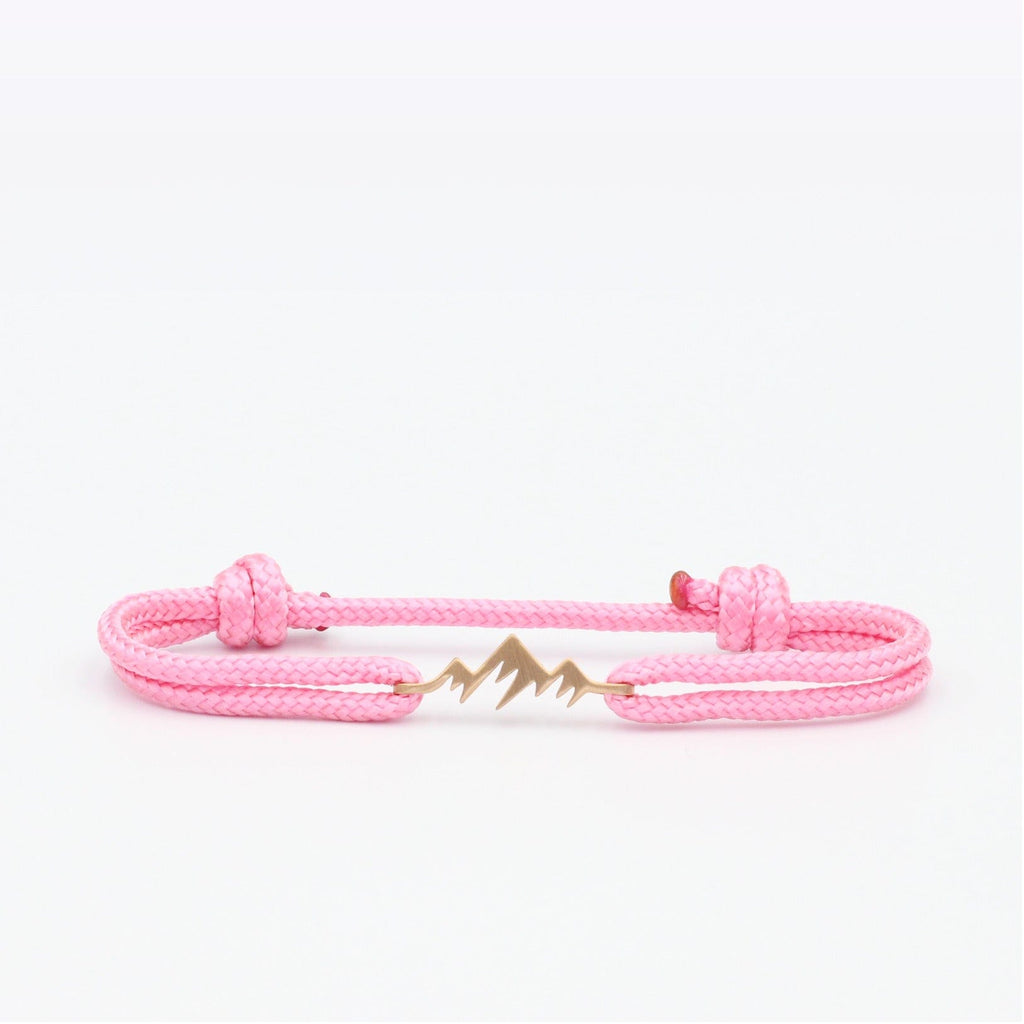 Aiguille d'Arves - Black Carabiner