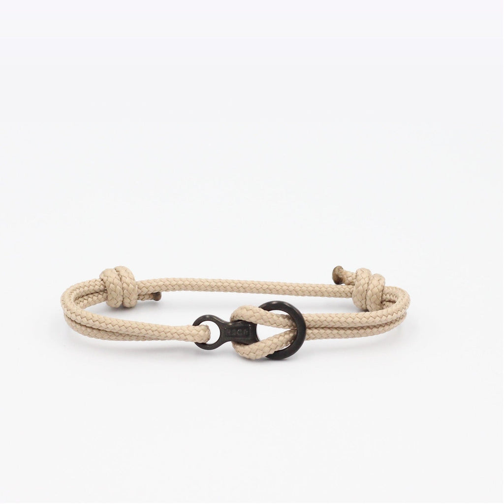 Aiguille d'Arves - Black Carabiner