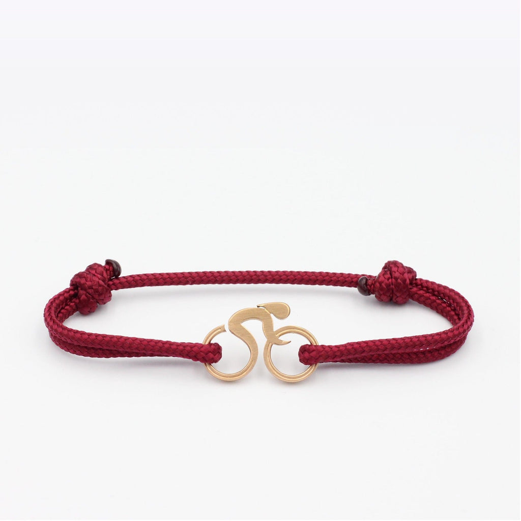 Aiguille d'Arves - Black Carabiner